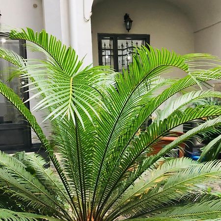 B&B Fiumara Naples Exterior photo